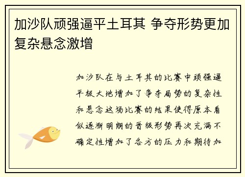 加沙队顽强逼平土耳其 争夺形势更加复杂悬念激增